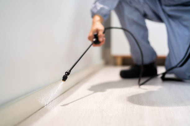 Licensed Pest Control service in Little Rock, AR - Show Me Pest Control