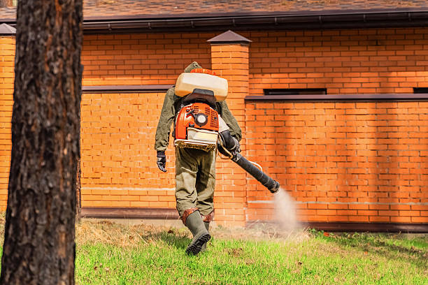 Bed Bug Clearance Verification and Documentation in Little Rock